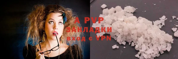 a pvp Магас