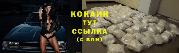 a pvp Магас
