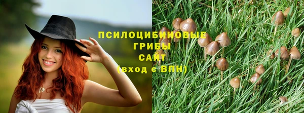 прущие крисы Майский