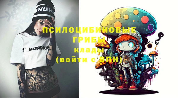 a pvp Магас