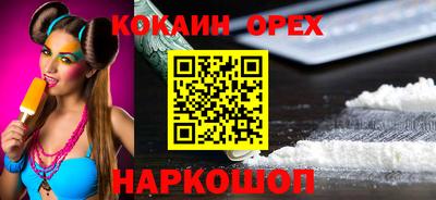 гидра Кандалакша