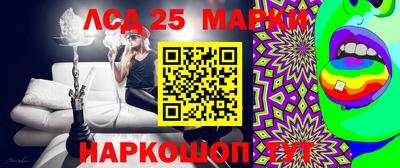 гидра Кандалакша