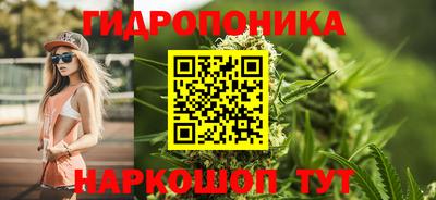 гидра Кандалакша
