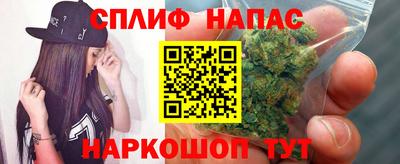 гидра Кандалакша