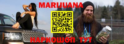 гидра Кандалакша