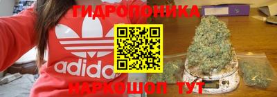 крисы Апшеронск