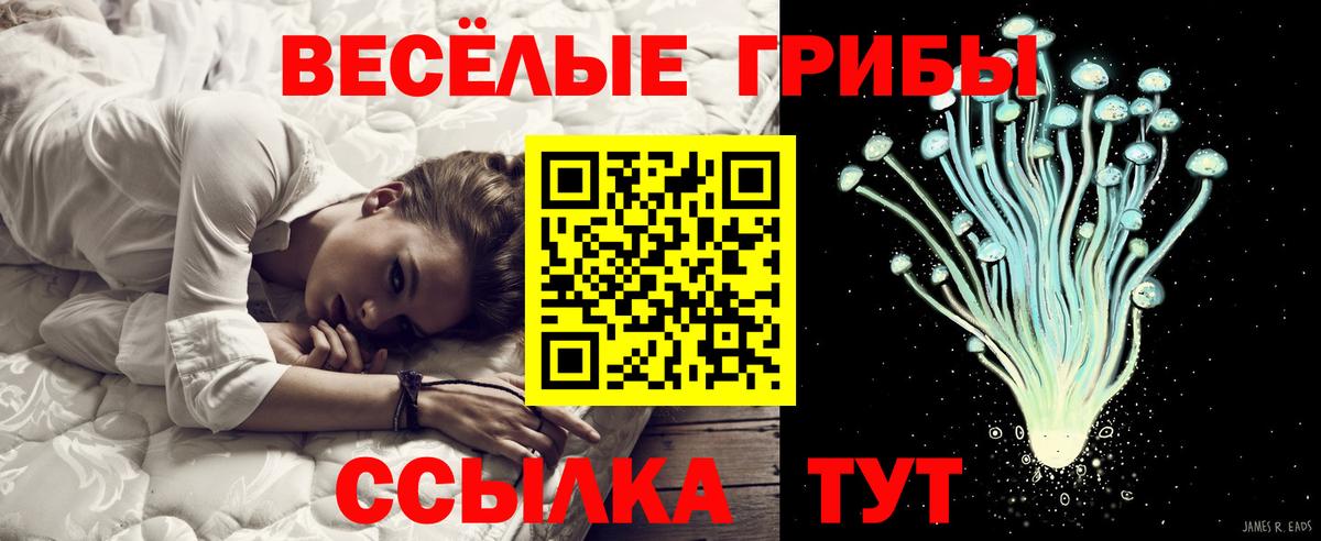 магазин  наркотиков  Псилоцибиновые грибы MAGIC MUSHROOMS  Вход с VPN  Галлюциногенные грибы ЛСД  Маркс 