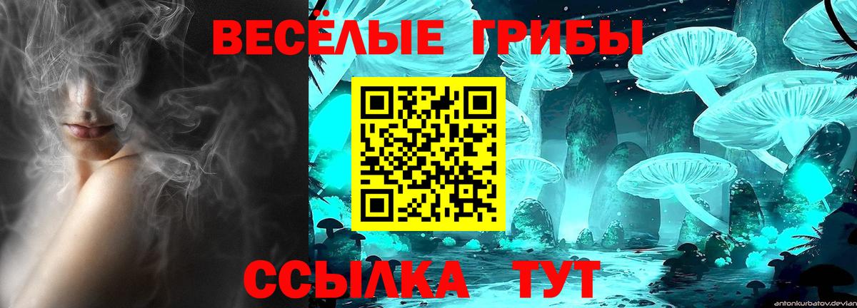 Галлюциногенные грибы GOLDEN TEACHER  Маркс 