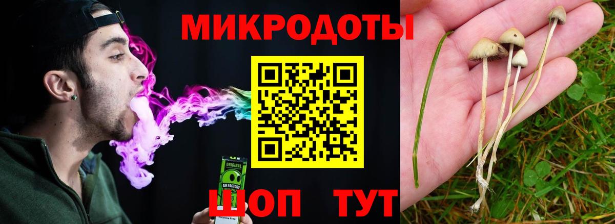 Галлюциногенные грибы мухоморы Маркс