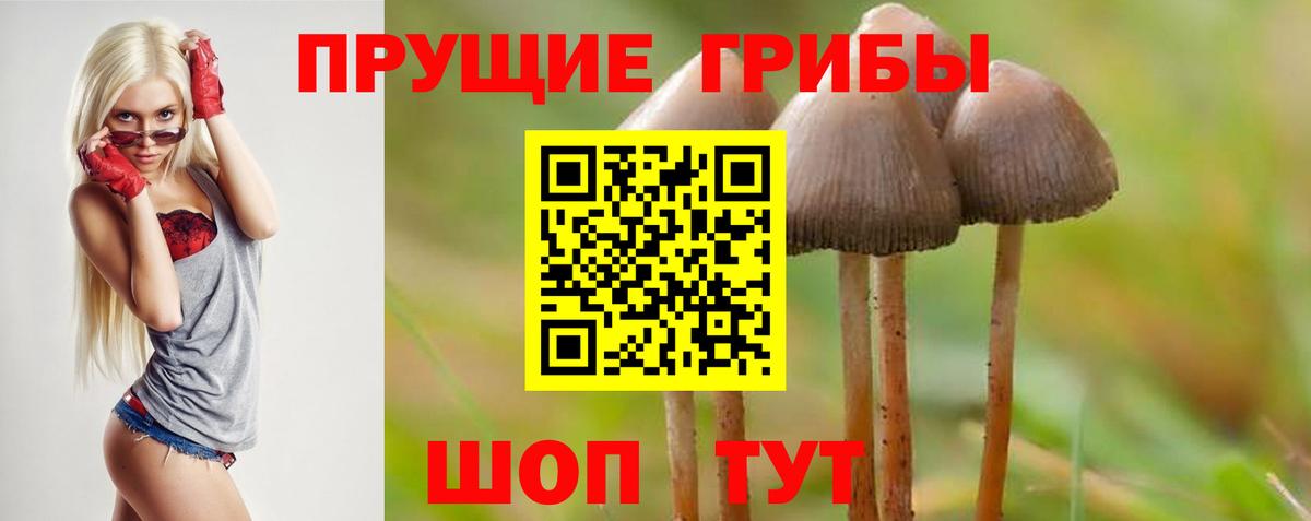 Псилоцибиновые грибы ЛСД Маркс